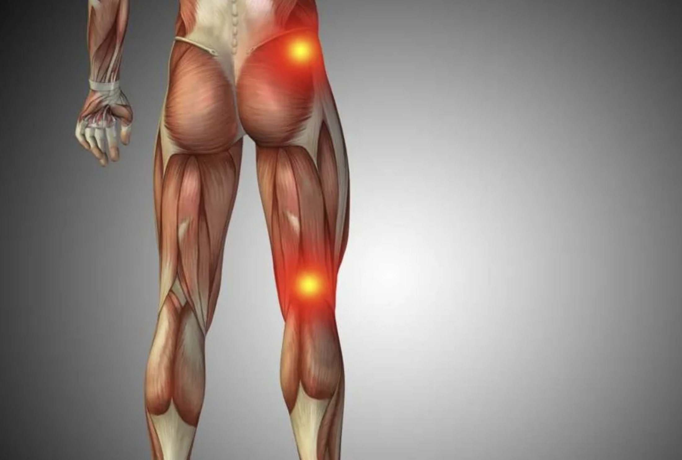 The Role of Leg Strength in Preventing and Alleviating Back Pain